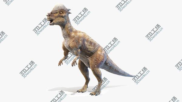 images/goods_img/20210312/Pachycephalosaurus model/1.jpg